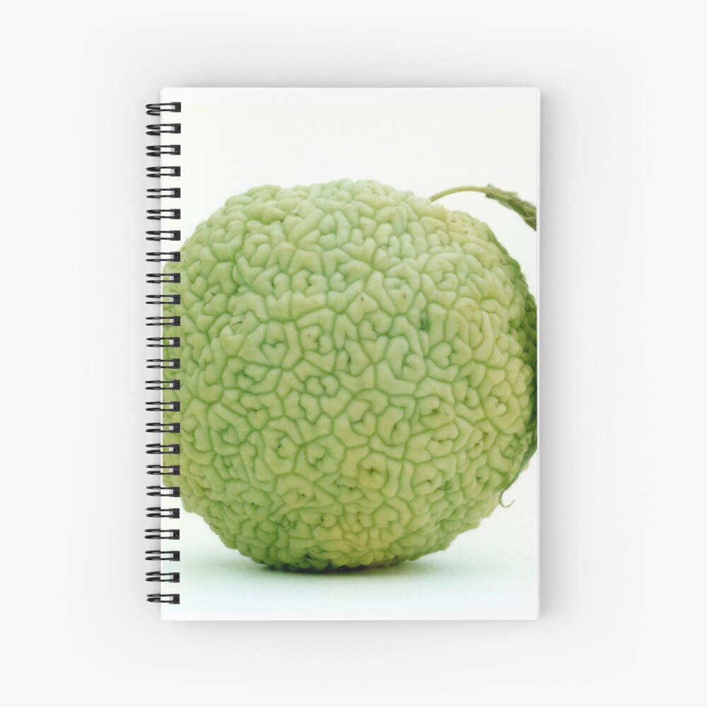 hedge for mac logo